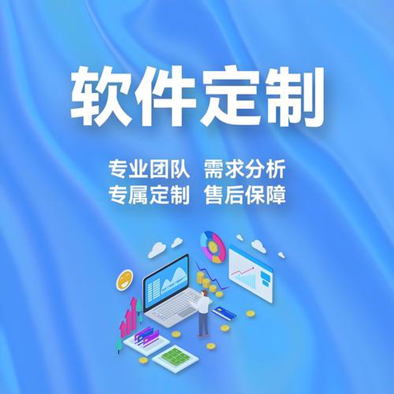 软件开发定制:紧跟行业风向标,助力企业创新前行